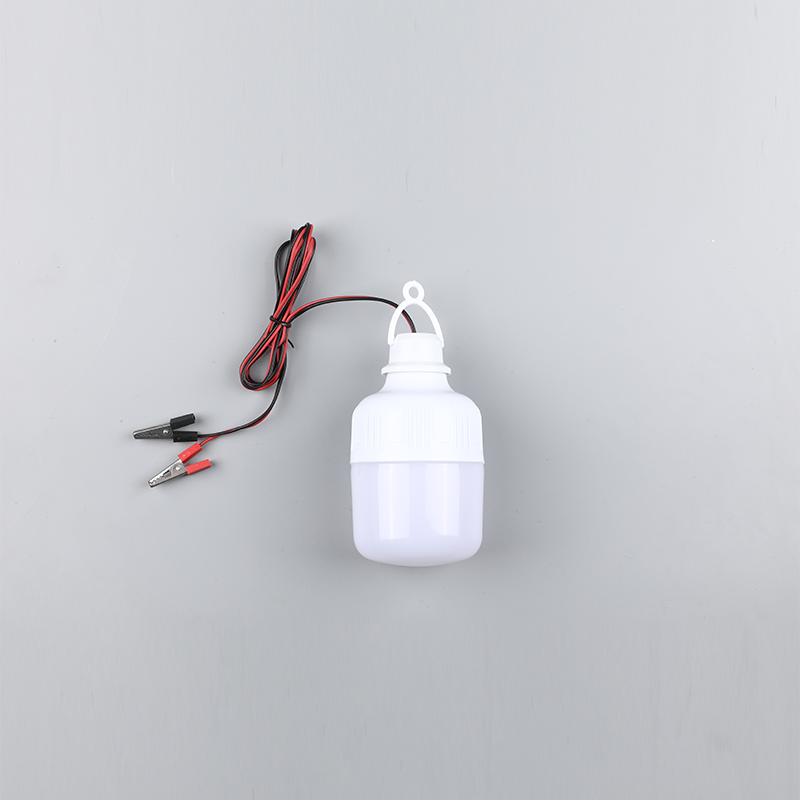 Led žiarovka-dc12v 24v