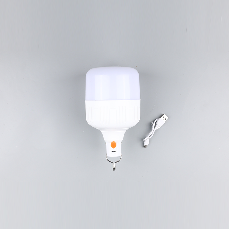 Led žiarovka-DC 12V 24V